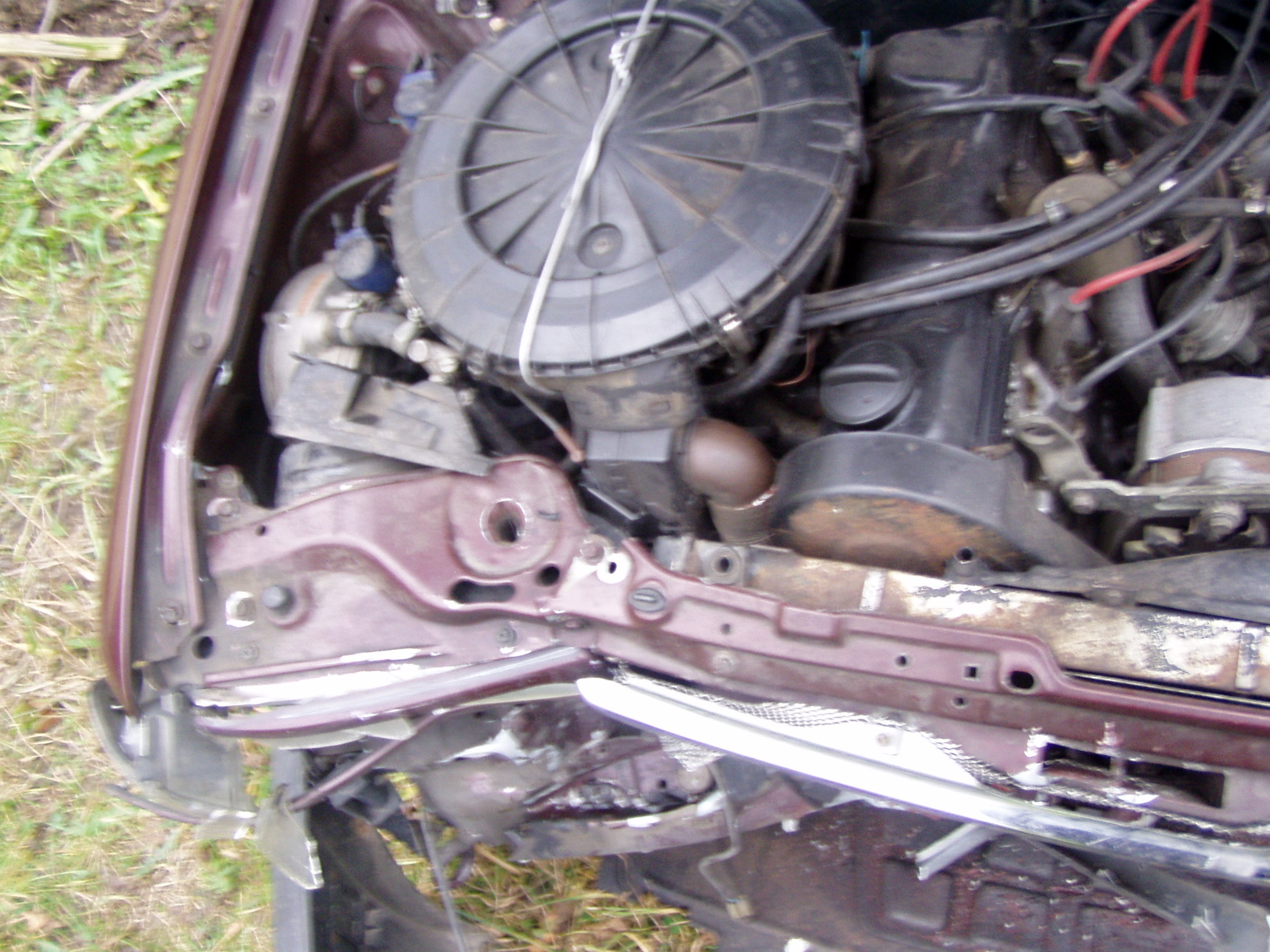 P1010008.JPG